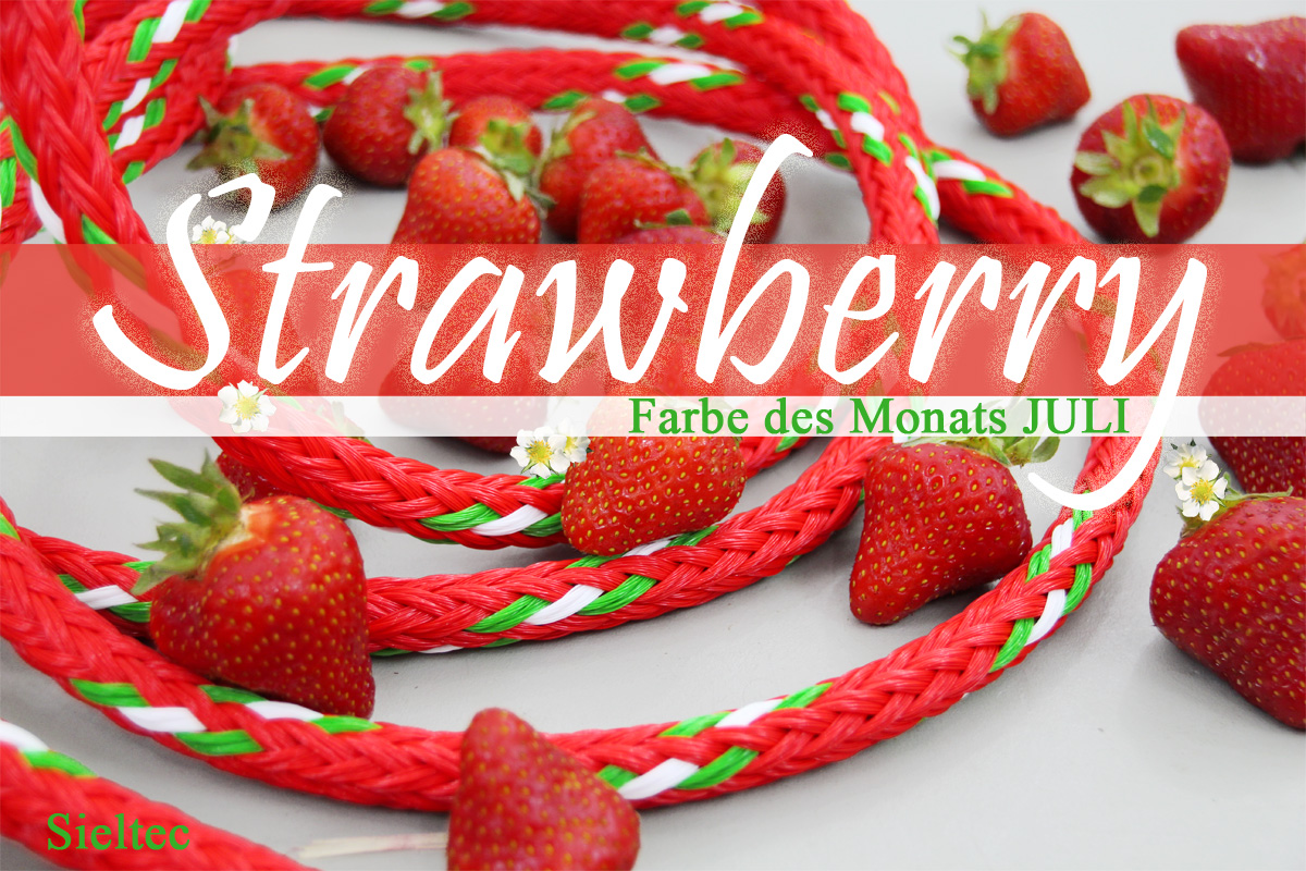 Farbe des Monats  - Strawberry (Air rope)