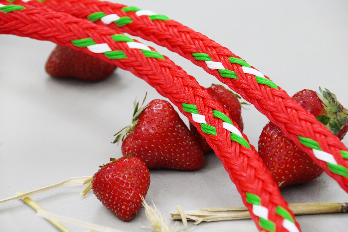 Farbe des Monats  - Strawberry (Air rope)